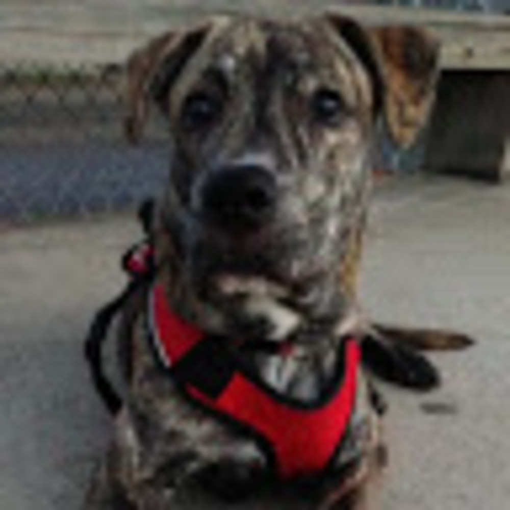 Meet your Posher, Veronica